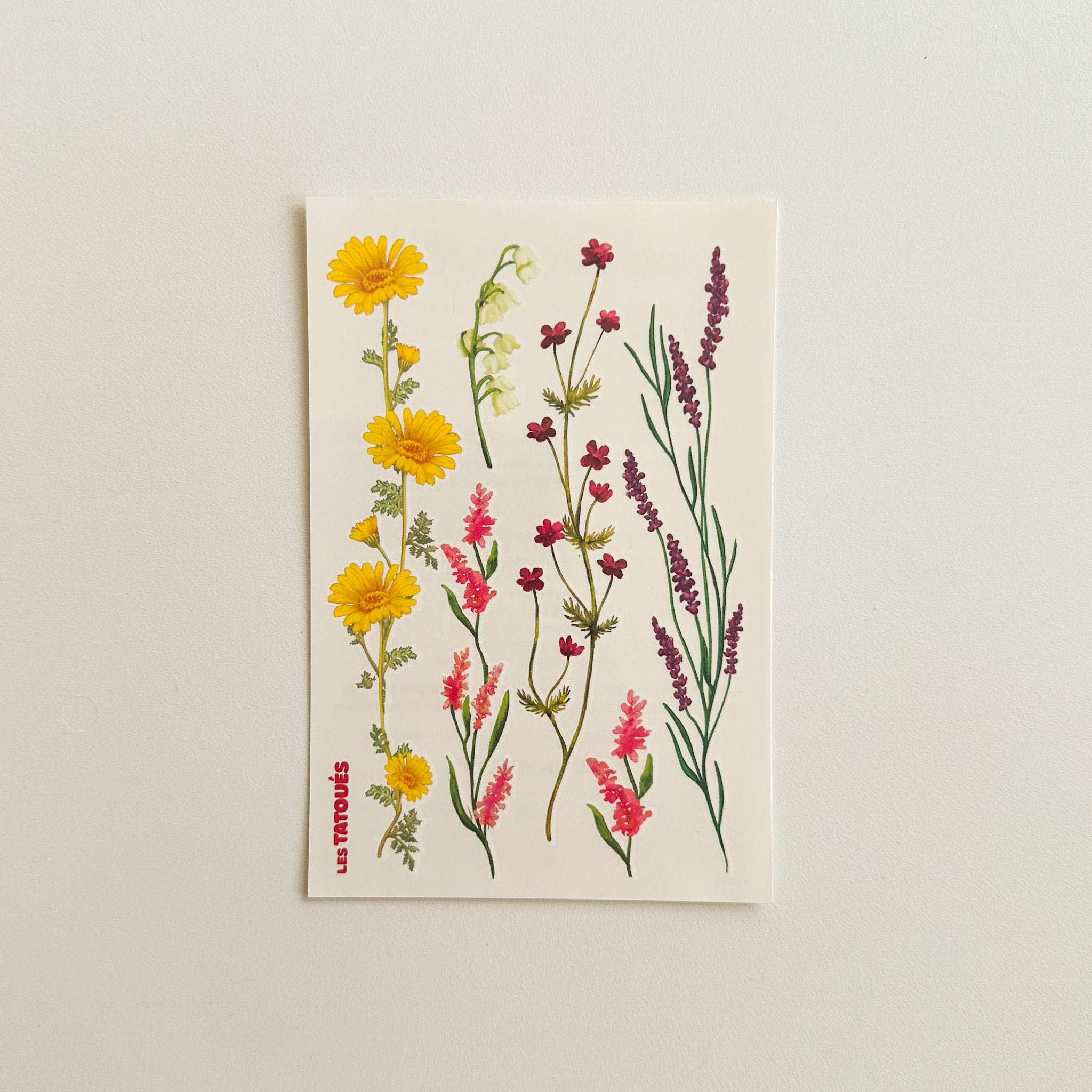 Le kit la nature - tatouages temporaires