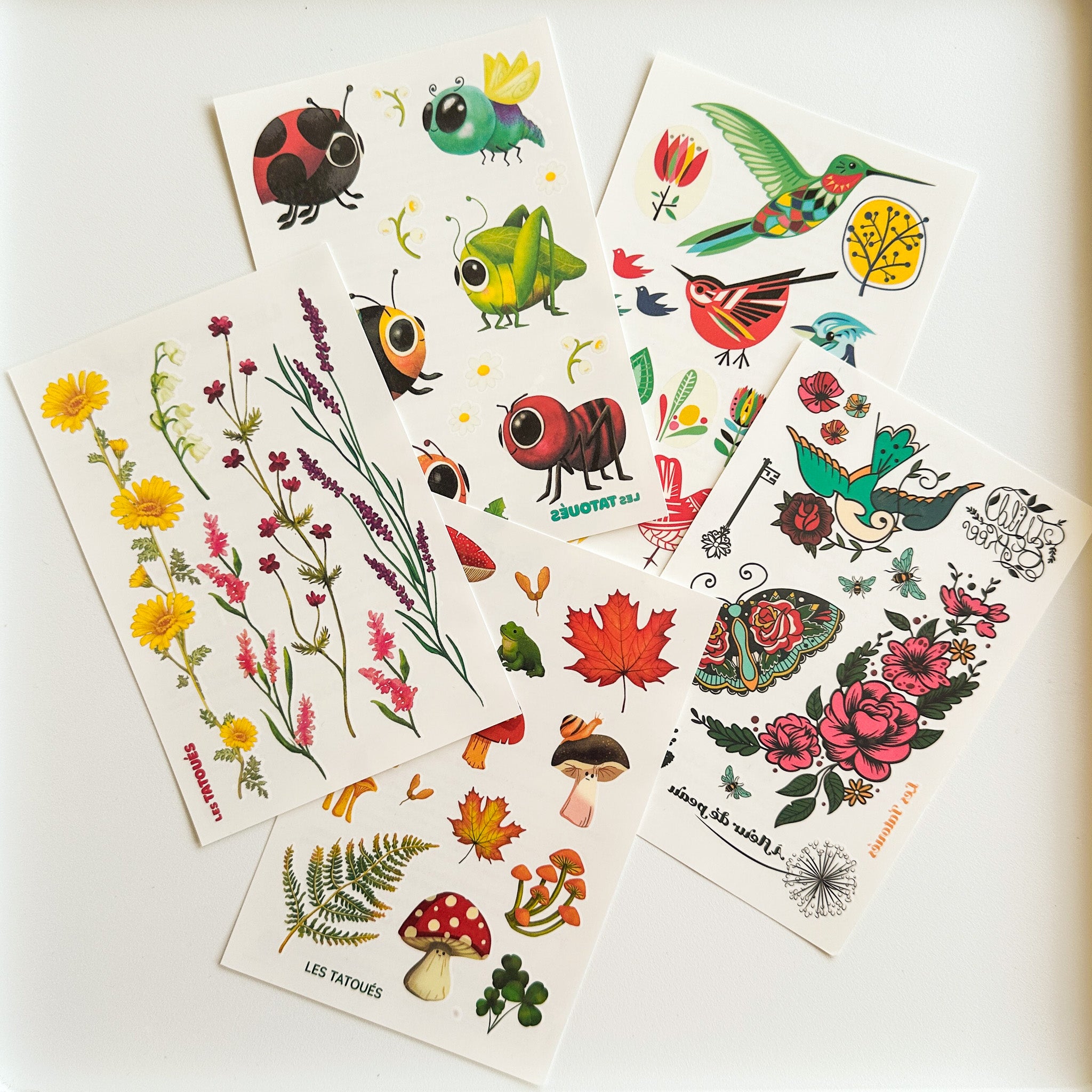 Le kit la nature - tatouages temporaires