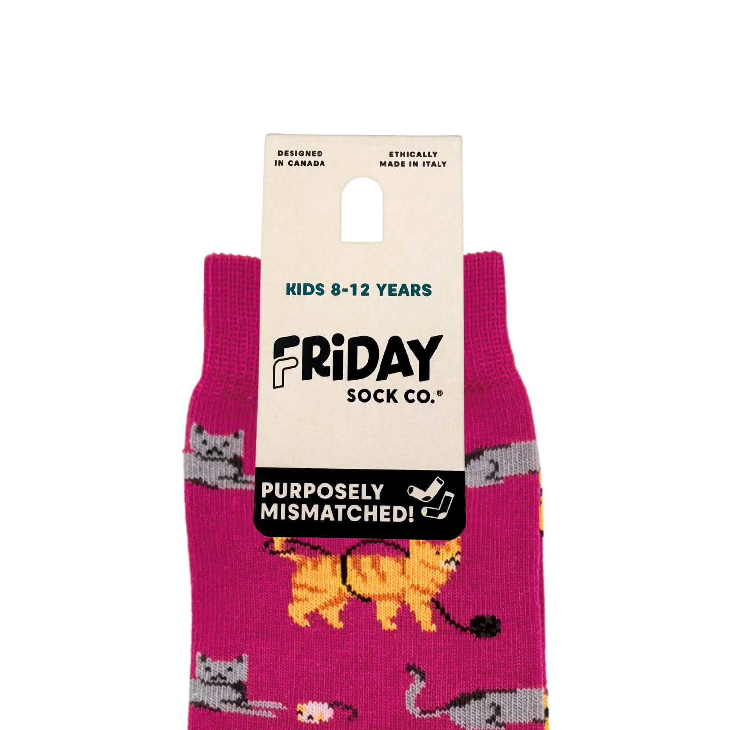 Friday Sock Co. - Chaussettes Chats Enfant: Moyen (Âge 4-7)