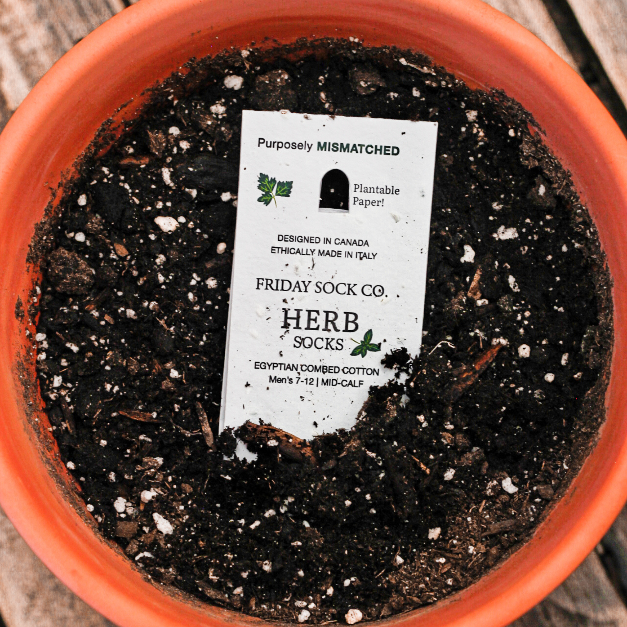 Friday Sock Co. - Chaussettes pour femmes - Tournesol