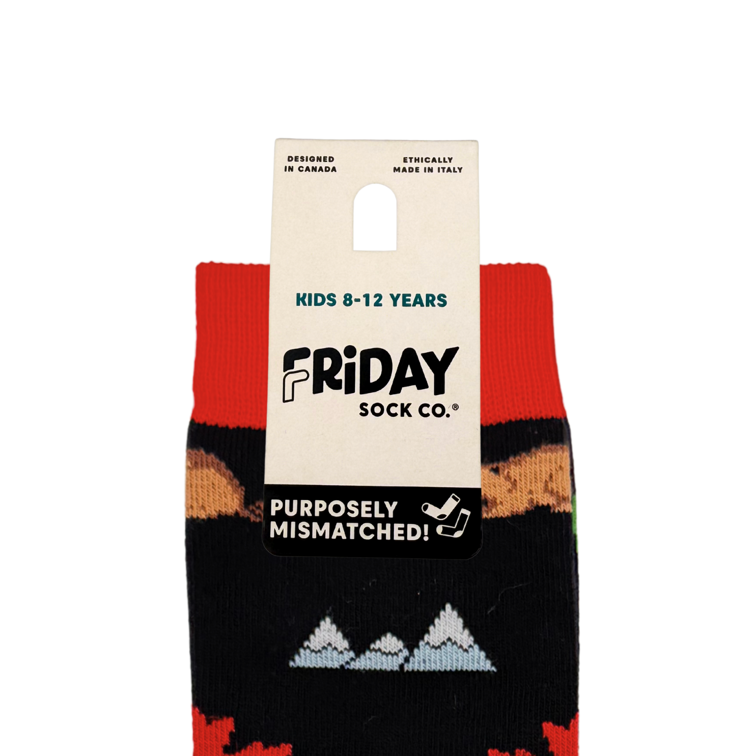 Friday Sock Co. - Chaussettes à icônes Canada pour enfants