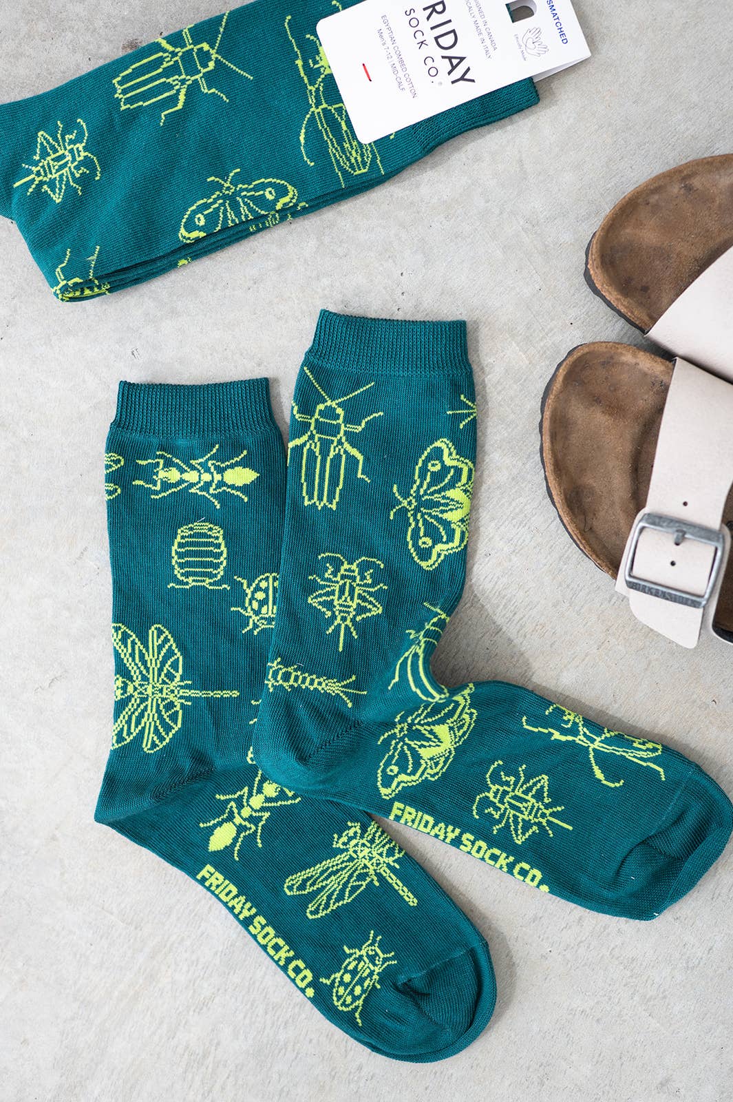 Friday Sock Co. - Chaussettes pour femmes - les insectes
