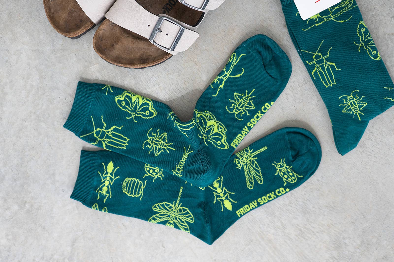 Friday Sock Co. - Chaussettes pour femmes - les insectes